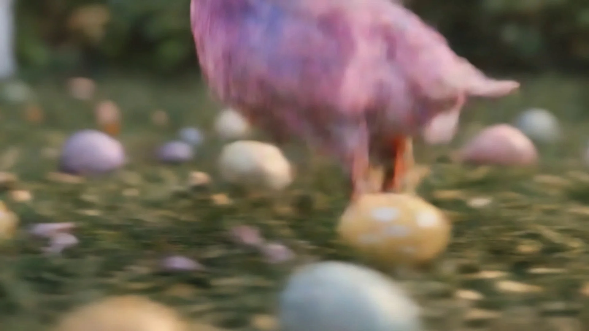 Easter duck / Color and soft feathers